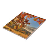 Herbst-Wald in den Bergen Fliese (Seite)