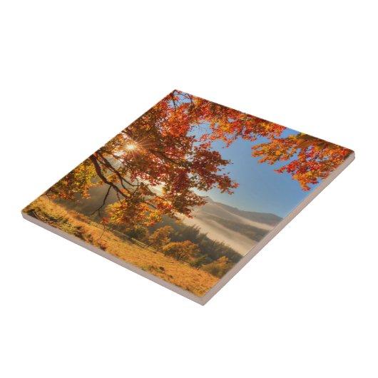 Herbst-Wald in den Bergen Fliese (Seite)