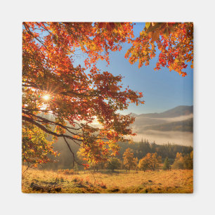 Herbst-Wald in den Bergen Magnet