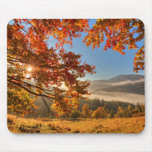 Herbst-Wald in den Bergen Mousepad (Vorne)