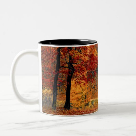 Herbst-Wald Zweifarbige Tasse (Links)