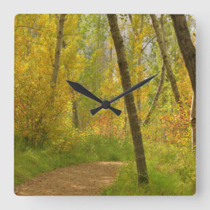 Herbst-Waldland Quadratische Wanduhr