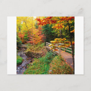 Herbst Wanderweg Alger Landkreis Michigan Postkarte