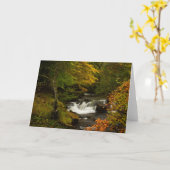 Herbst-Wasserfall-Gruß-Karte Karte (Gelbe Blume)