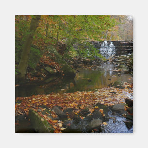 Herbst-Wasserfall und Bach Pennsylvania Natur Magnet
