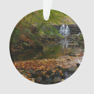 Herbst-Wasserfall und Bach Pennsylvania Natur Ornament