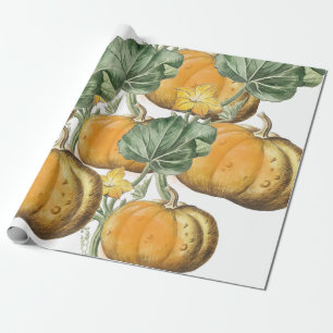 Herbst Wasserfarbe Vintage Kürbisse Geschenkpapier