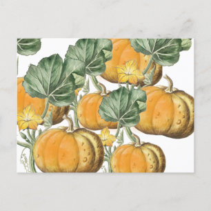 Herbst Wasserfarbe Vintage Pumpkins Feiertagspostkarte