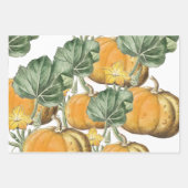 Herbst Wasserfarbe Vintage Pumpkins Geschenkpapier Set (Vorderseite 3)