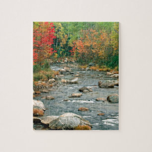 Herbst-weißes GebirgsNew Hampshire Puzzle