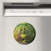 Herbst Whirlwind...... Magnet (In Situ (Geschirrspüler))