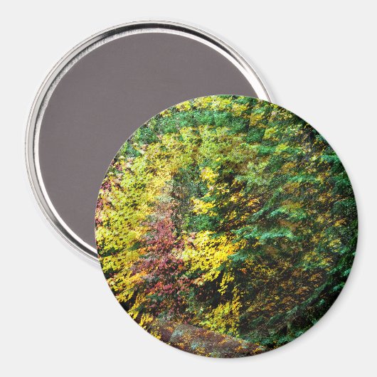 Herbst Whirlwind...... Magnet (Vorderseite/Rückseite)