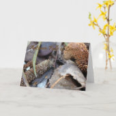 Herbst-Wunsch - Karte (Gelbe Blume)