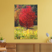 Herbst-Zuhause-Geschenke | Rote Ahorn-Blätter Leinwanddruck (Insitu (Wohnzimmer))