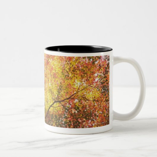 Herbst Zweifarbige Tasse (Rechts)