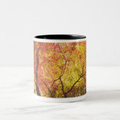 Herbst Zweifarbige Tasse (Mittel)