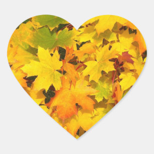 Herbstahornblätter mit Herbstfarben Herz-Aufkleber