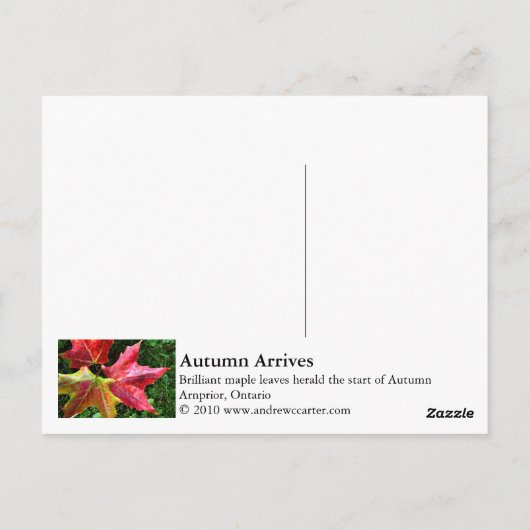 Herbstanken Postkarte (Rückseite)