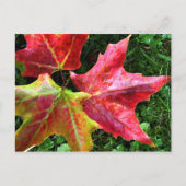 Herbstanken Postkarte (Vorderseite)