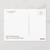 Herbstansicht aus Drachenstand Postkarte (Rückseite)