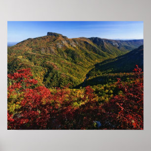 Herbstansicht der Linville Gorge, oft auch genannt Poster