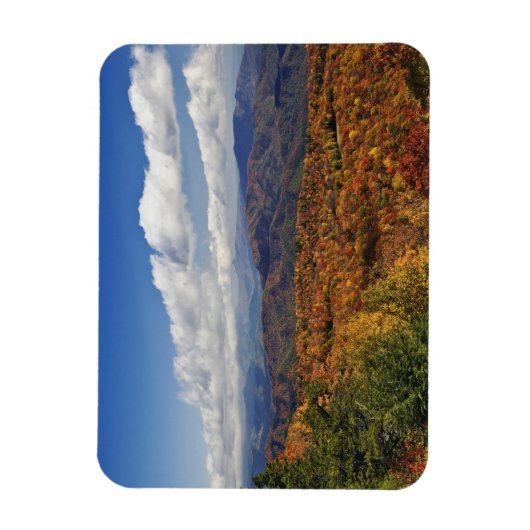 Herbstansicht der südlichen Appalachen Magnet (Vertikal)