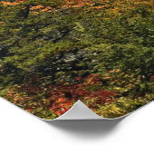 Herbstansicht der südlichen Appalachen Poster (Ecke)