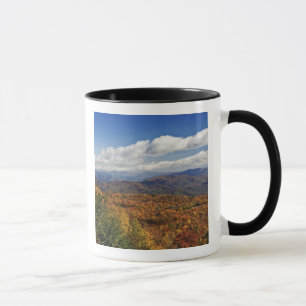 Herbstansicht der südlichen Appalachen Tasse