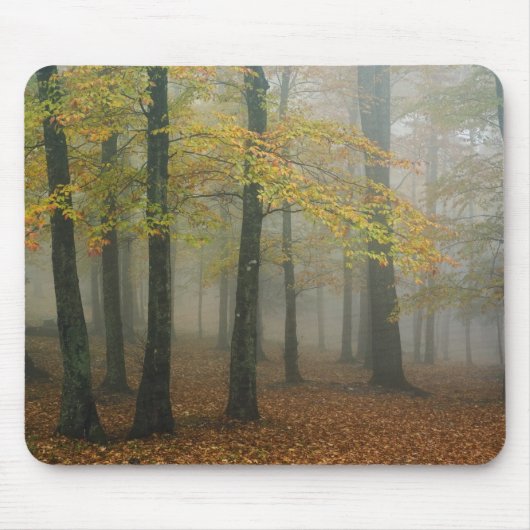 Herbstansicht des Nebelwaldes, Großvater 3 Mousepad (Vorne)