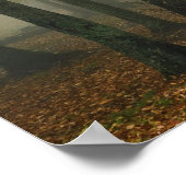 Herbstansicht des Nebelwaldes, Großvater 3 Poster (Ecke)