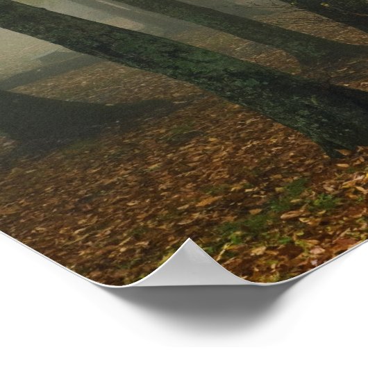 Herbstansicht des Nebelwaldes, Großvater 3 Poster (Ecke)