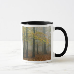 Herbstansicht des Nebelwaldes, Großvater 3 Tasse