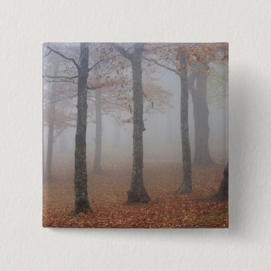 Herbstansicht des Nebelwaldes, Großvater Button (Vorderseite)