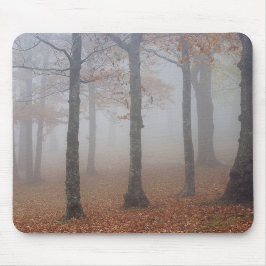 Herbstansicht des Nebelwaldes, Großvater Mousepad (Vorne)