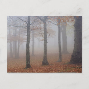 Herbstansicht des nebligen Waldes, Großvater Postkarte