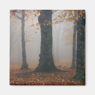 Herbstansicht eines nebligen Waldes, Großvater 2 Magnet