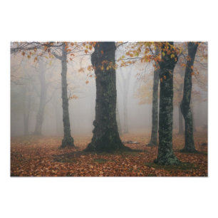Herbstansicht von nebligem Wald, Grandfather 2 Fotodruck
