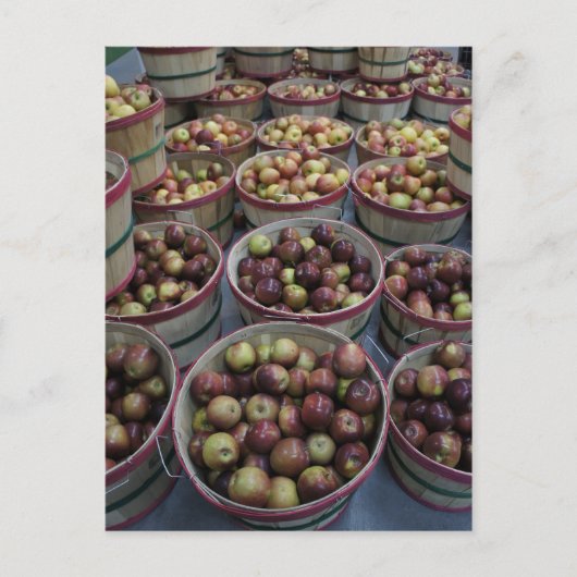 Herbstapfel Postkarte (Vorderseite)