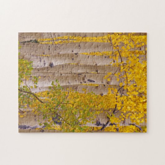 Herbstaspeln am Kebler Pass in Colorado Puzzle (Horizontal)