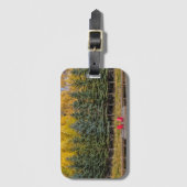 Herbstaspeln Gepäckanhänger (Vorderseite Vertikal)