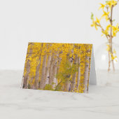 Herbstaspeln im Kebler Pass in Colorado. Karte (Gelbe Blume)