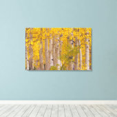 Herbstaspeln im Kebler Pass in Colorado. Leinwanddruck (Insitu (Holzboden))