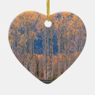 Herbstaspen-Pracht Jackson Hole Wyoming Keramikornament