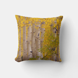 Herbstaspens im Kebler Pass in Colorado Kissen