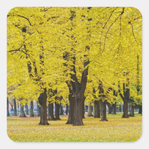 Herbstaufkleber Quadratischer Aufkleber