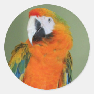 Herbstaufkleber Runder Aufkleber