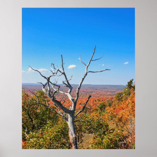Herbstausblick auf dem Mount Bohemia Poster (Vorne)