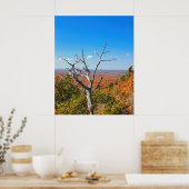 Herbstausblick auf dem Mount Bohemia Poster (Küche)