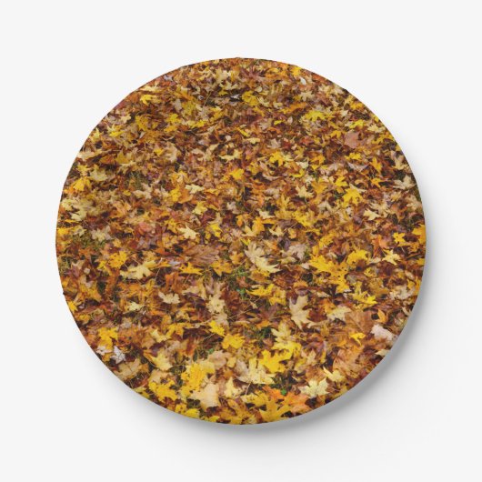 Herbstausgänge Abstrakt Pappteller (Vorderseite)