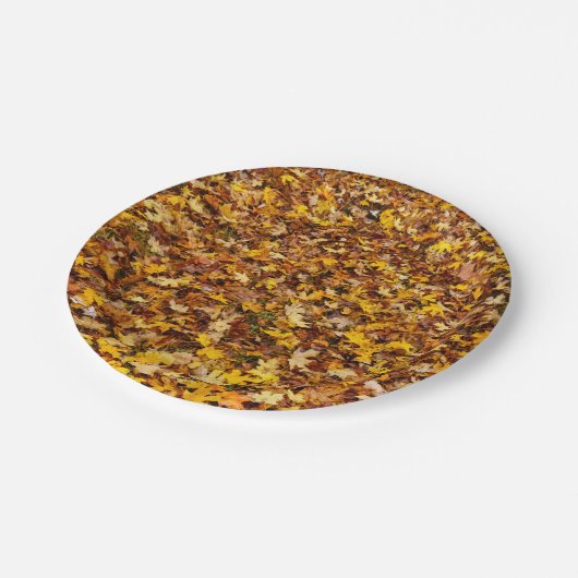 Herbstausgänge Abstrakt Pappteller (Schrägansicht)